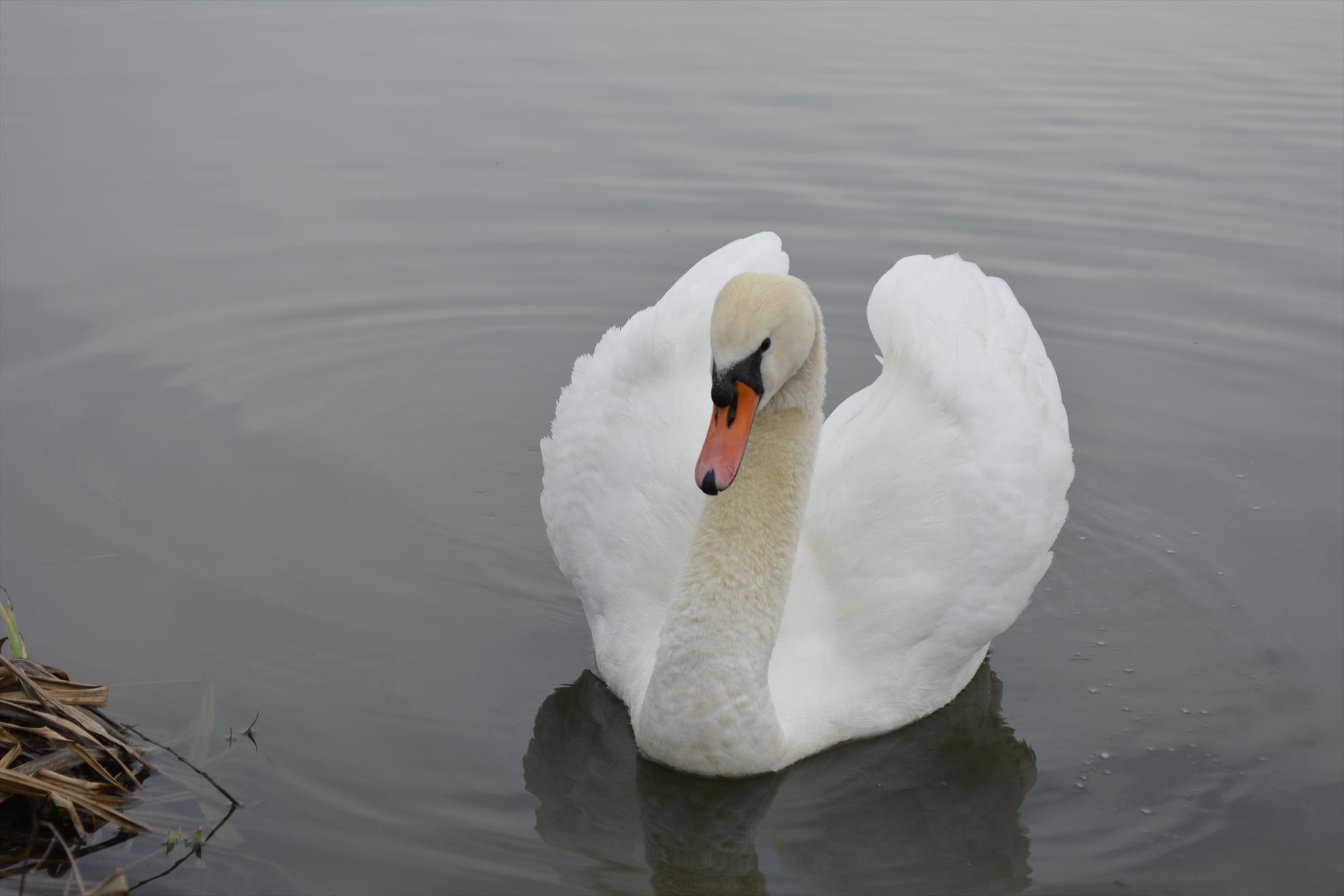 Pescuit :) - dsc0049.JPG